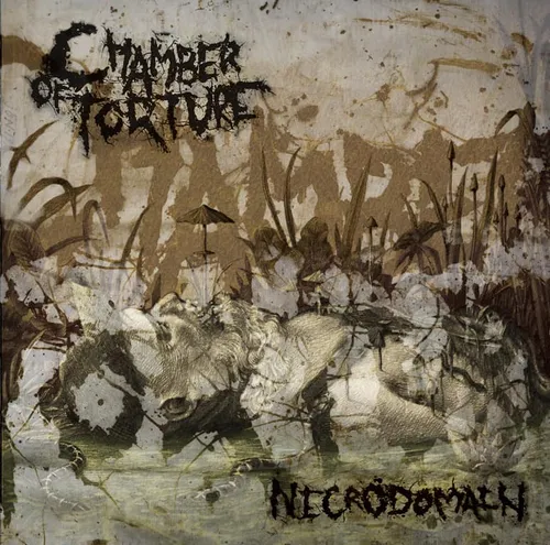 CHAMBER OF TORTURE 'Necrodomain'