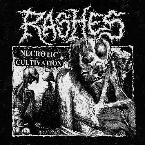 RASHES 'Necrotic Cultivation'