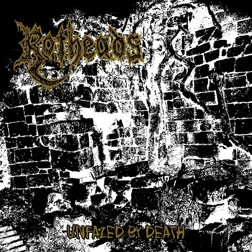 ROTHEADS 'Unfazed by Death'