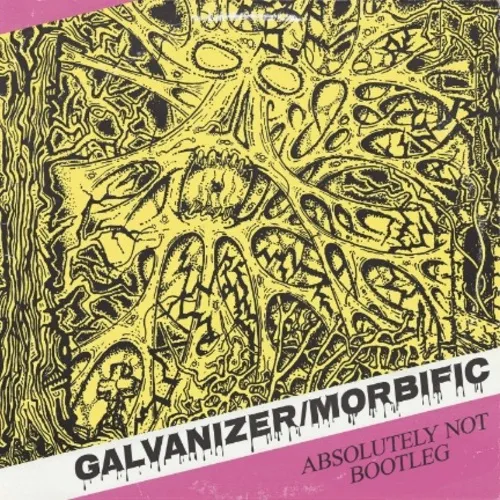 GALVANIZER / MORBIFIC - Split