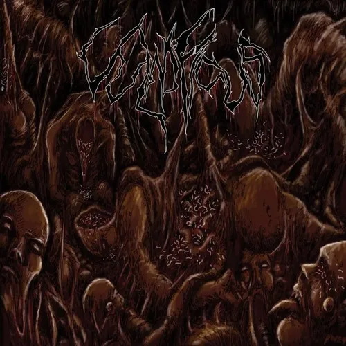VULNIFICUS 'Inclination'